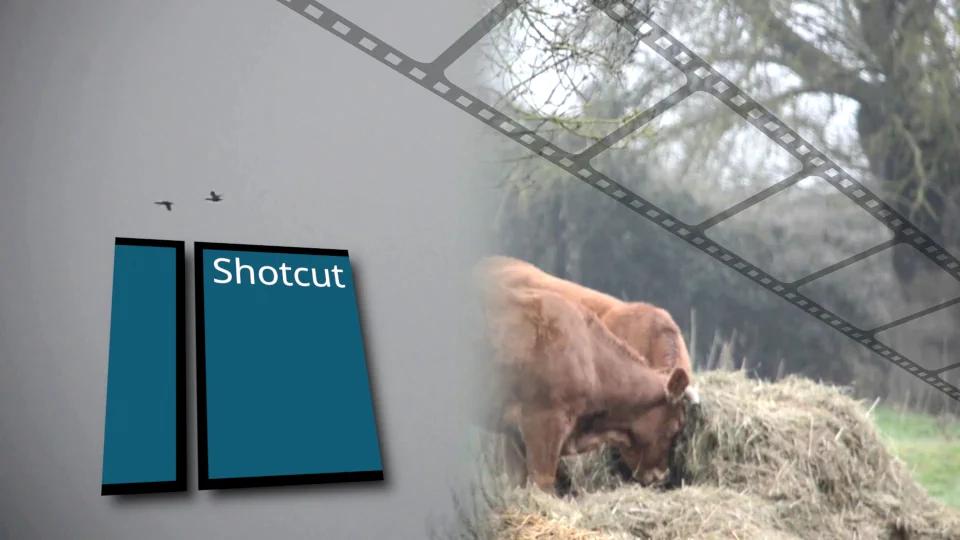 Votre premier montage vidéo avec Shotcut - Formation logiciel libre